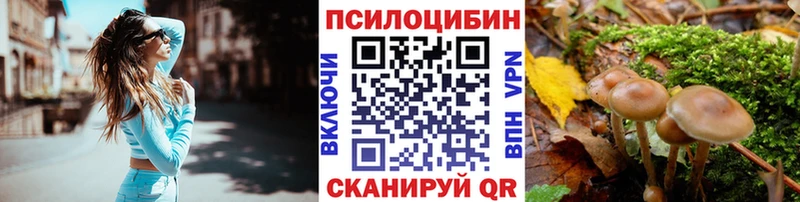 Галлюциногенные грибы Psilocybine cubensis Асино